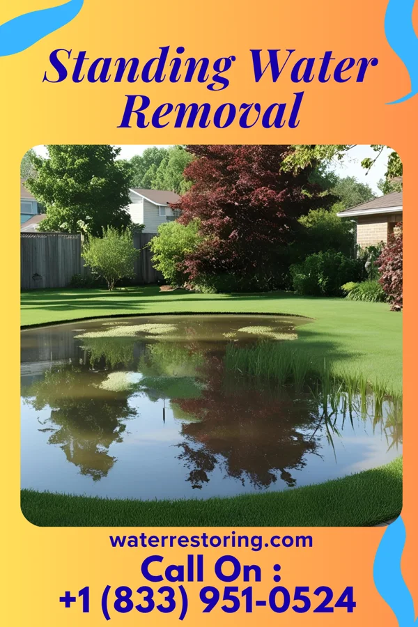 Standing Water Removal in Gardner, ND